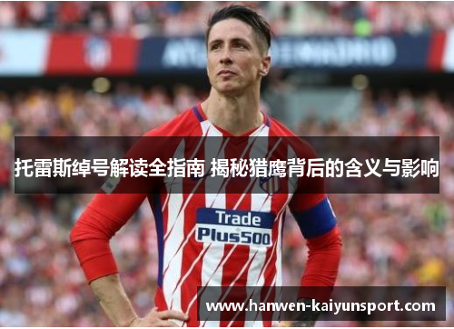 托雷斯绰号解读全指南 揭秘猎鹰背后的含义与影响